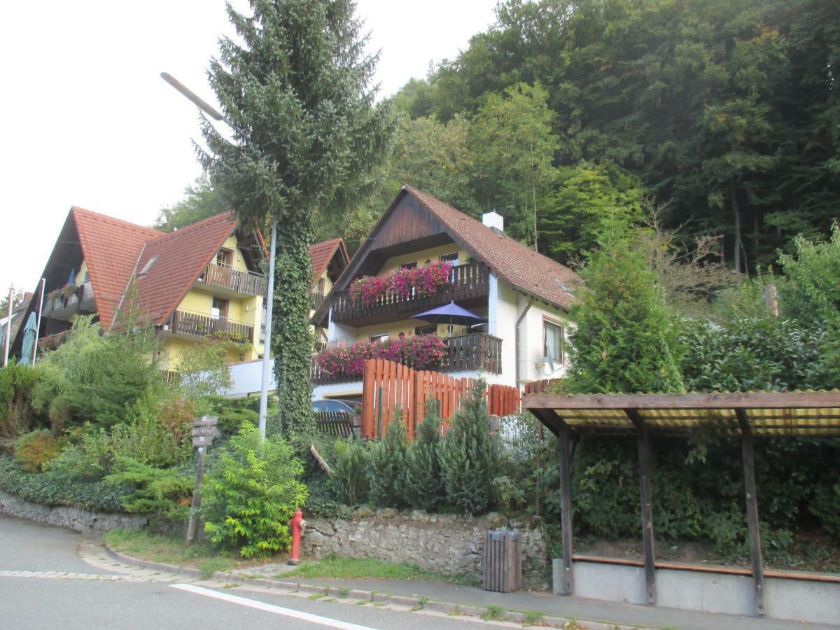 Apartments In Behringersmuehle Goessweinstein Exteriér fotografie