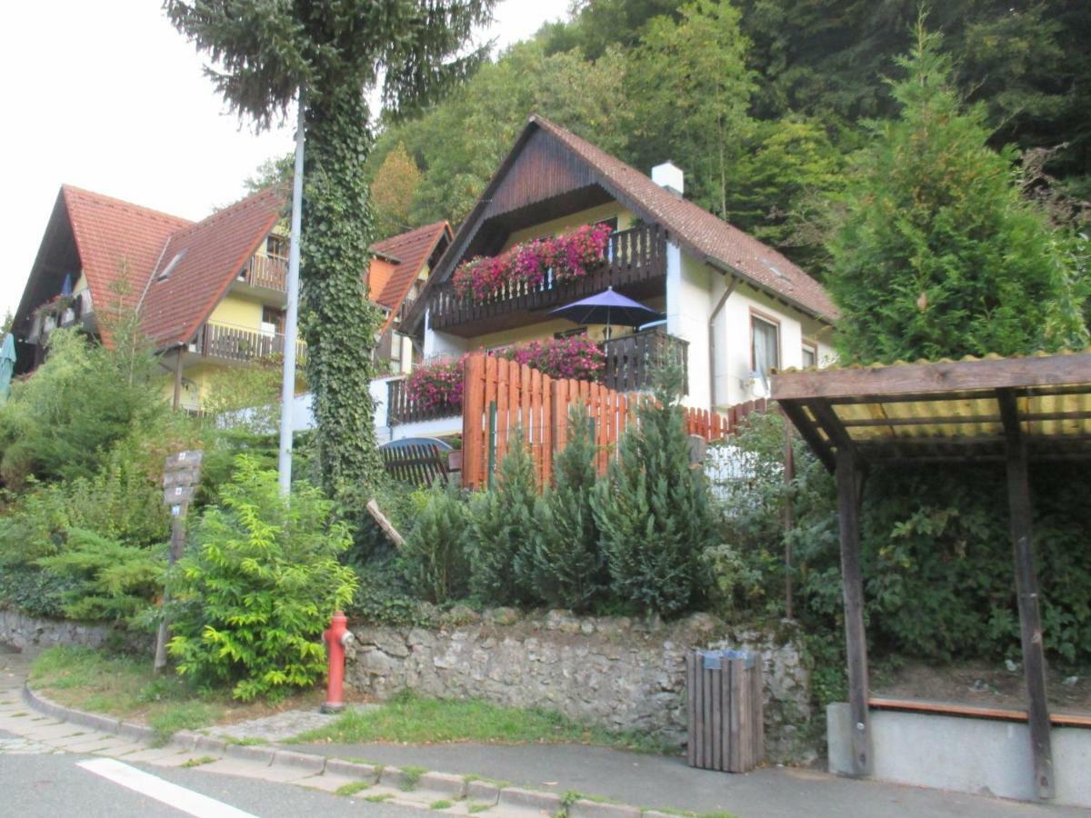 Apartments In Behringersmuehle Goessweinstein Exteriér fotografie